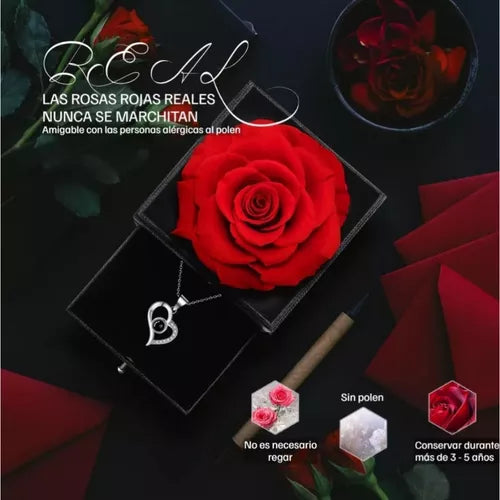 ROSA ETERNA - Collar de corazon grabado te amo en 100 idiomas